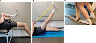 Effects of daily static stretch training over 6 weeks on maximal strength, muscle thickness, contraction properties, and flexibility